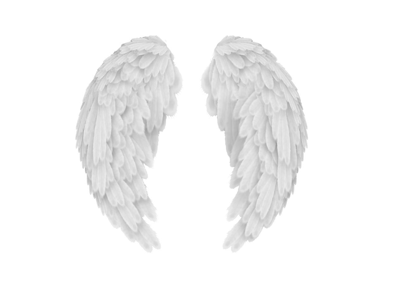 White Angel Wings PNG Transparent Image