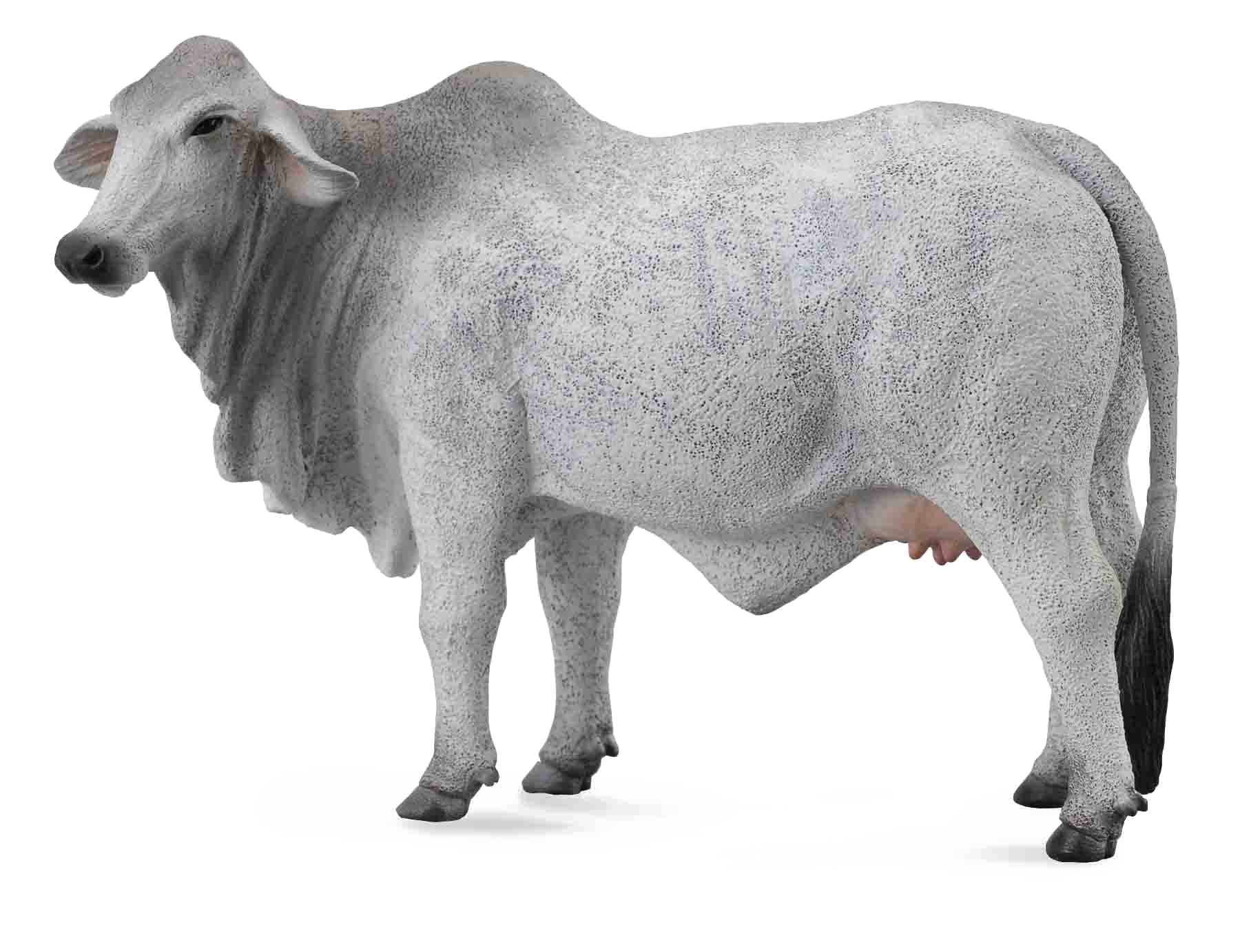 Priorità bassa dellimmagine del PNG della mucca bianca