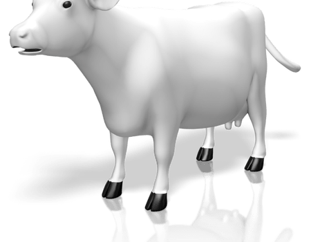 Белое корова прозрачное изображение