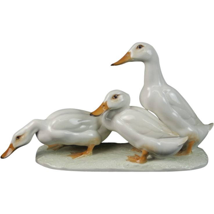 White Duck PNG Image