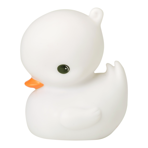 White Duck PNG Photo