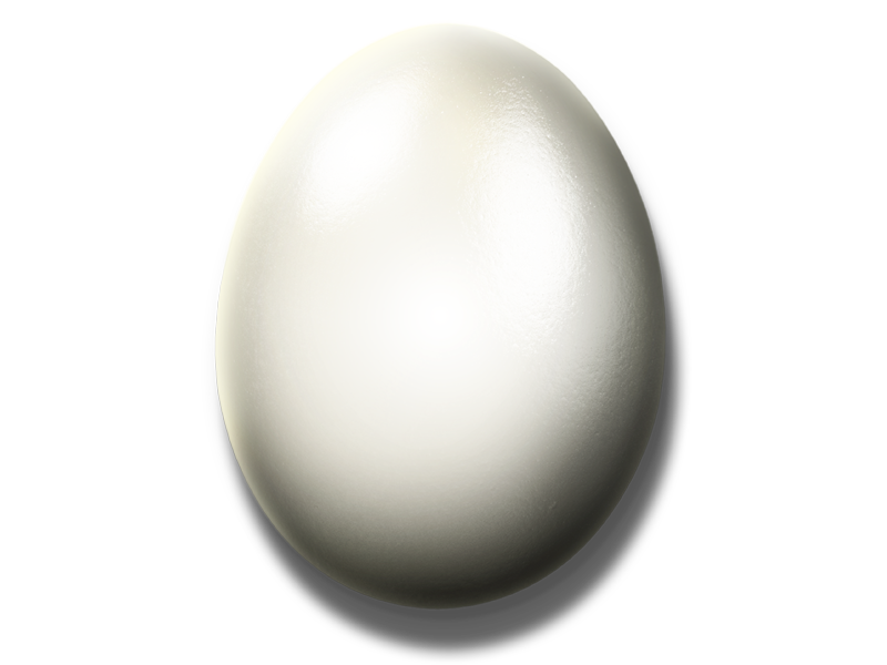 White Egg PNG Download Image