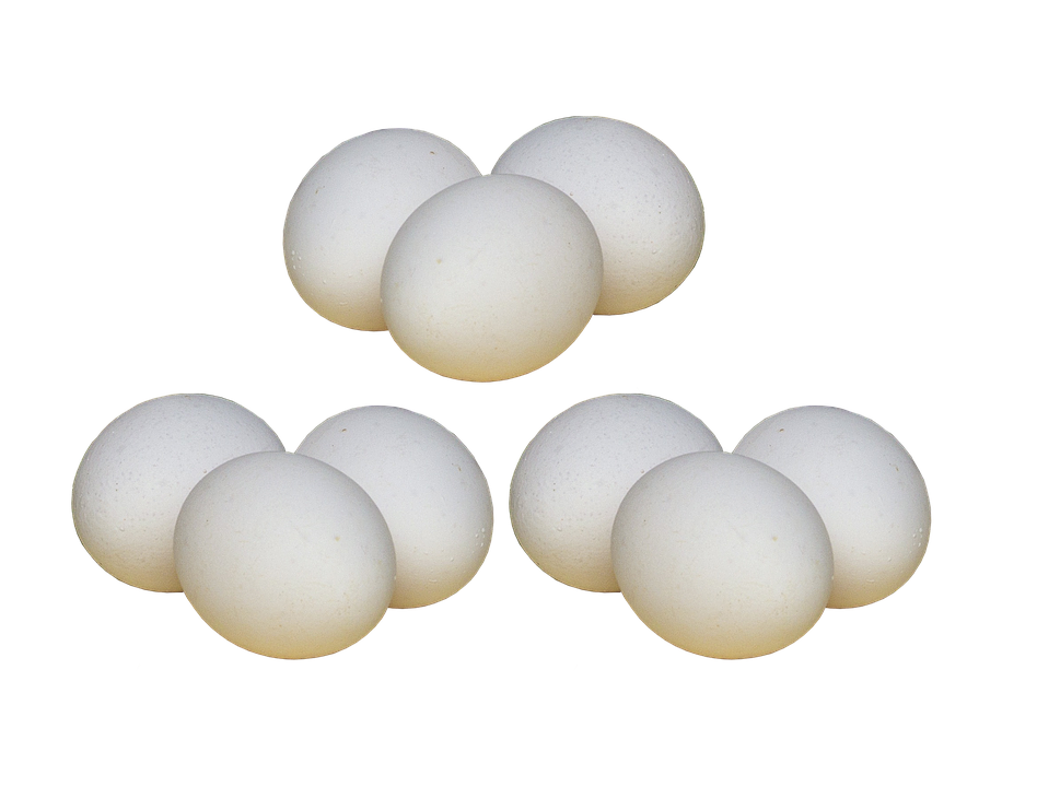 Foto de huevo blanco PNG