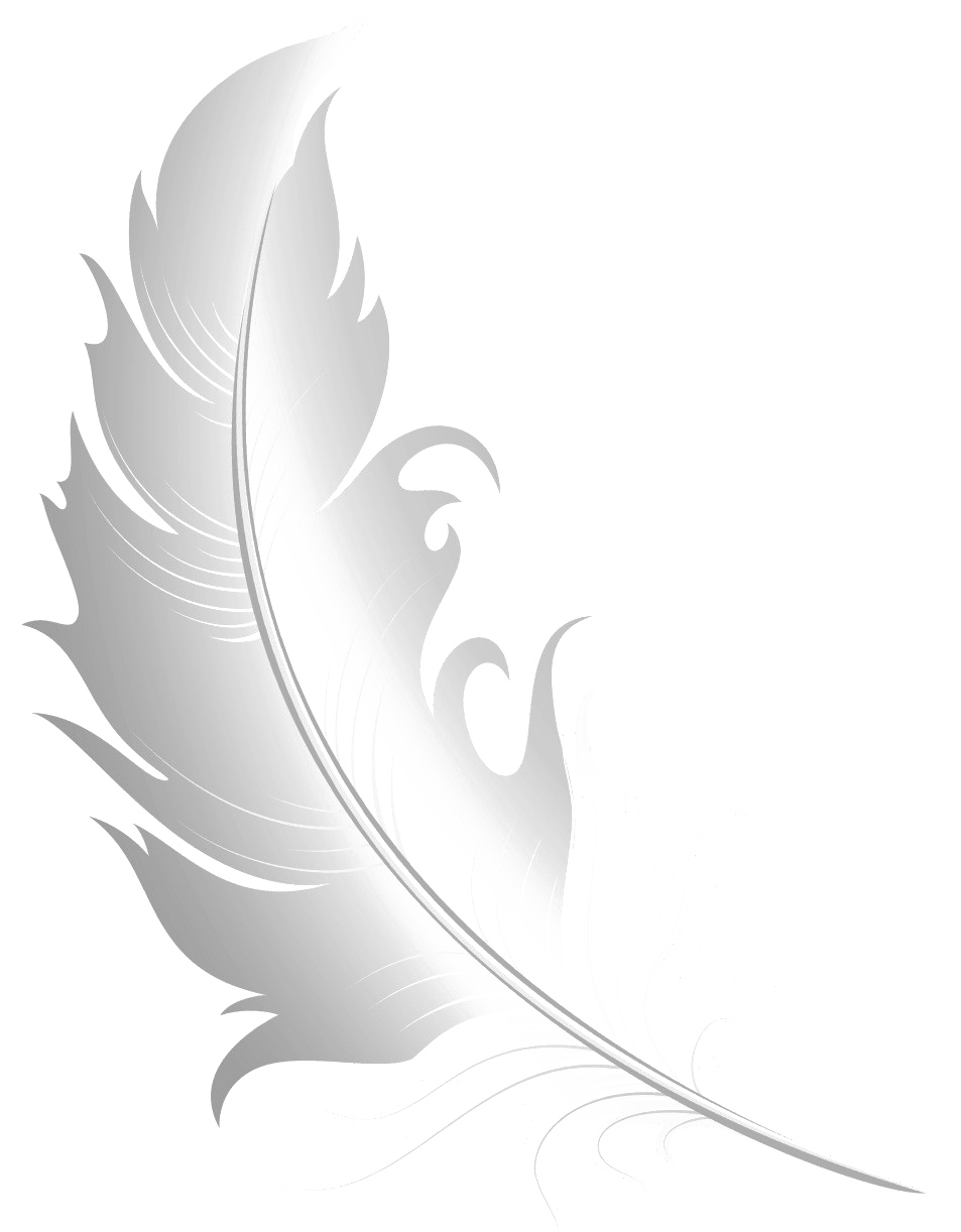 Image de PNG libres de plumes blanches