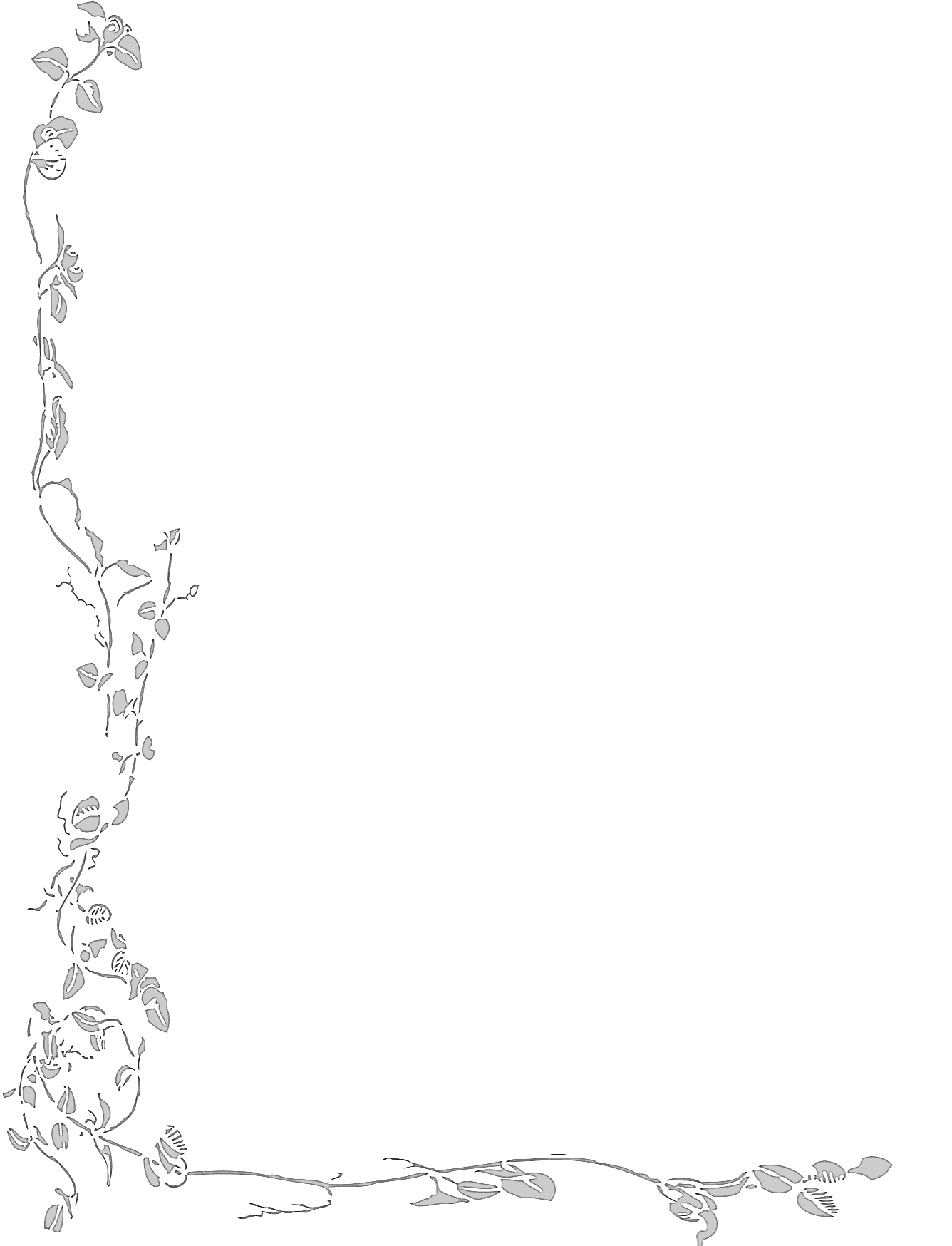 Weißer Blumenrand PNG Hintergrund Bild