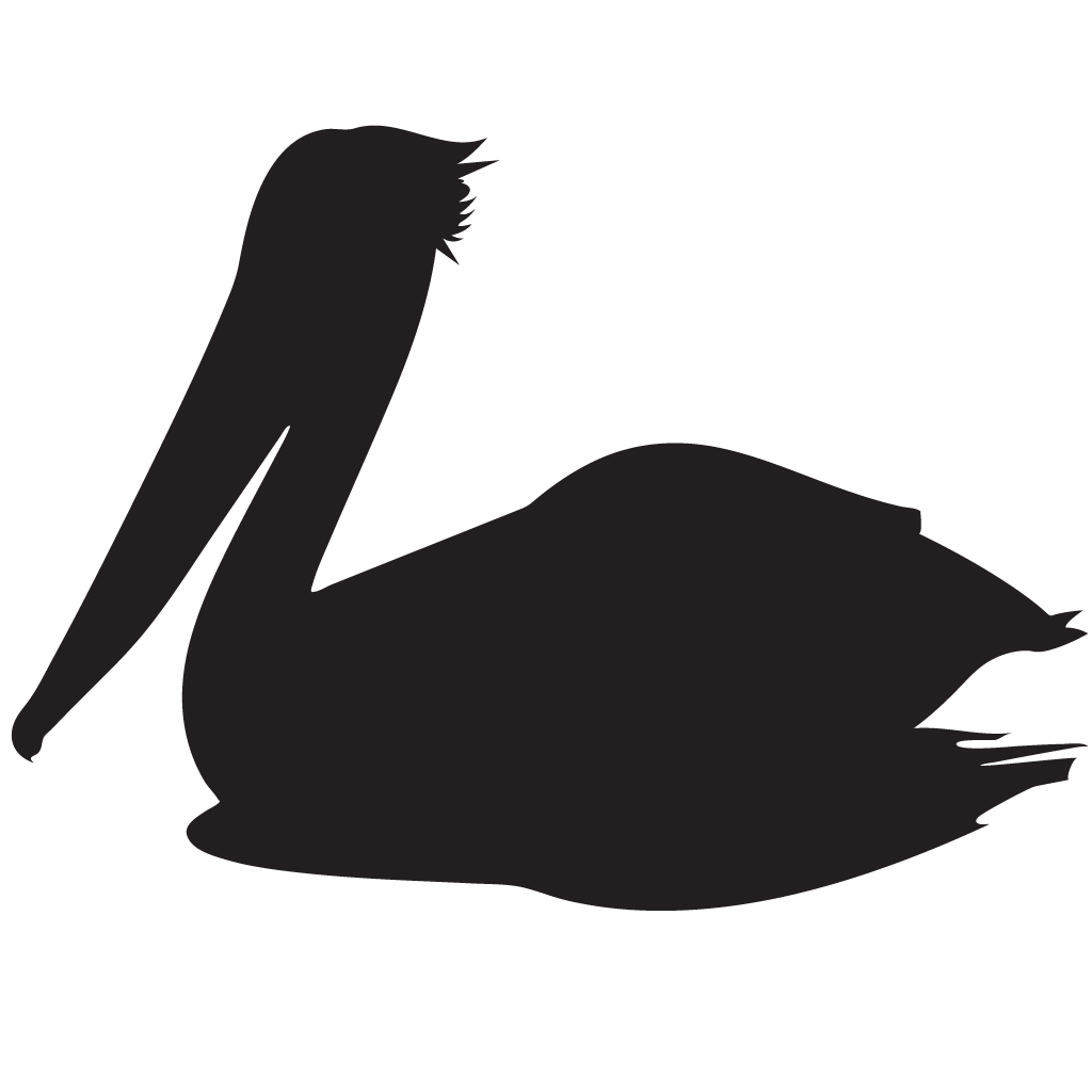 Wit pelikaan Transparant Beeld