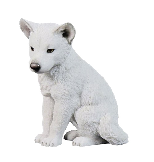 White Puppies PNG Free Download