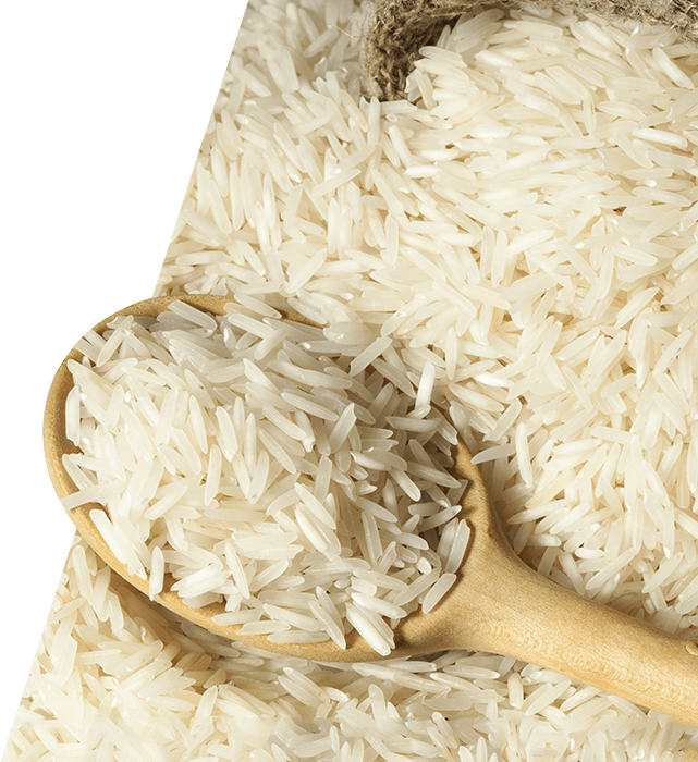 White Rice PNG Image Background