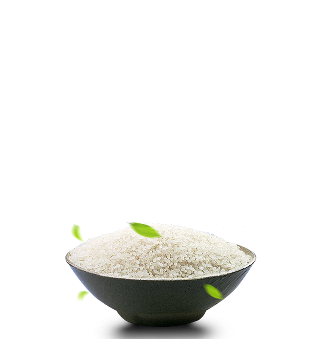 Gambar Transparan beras putih