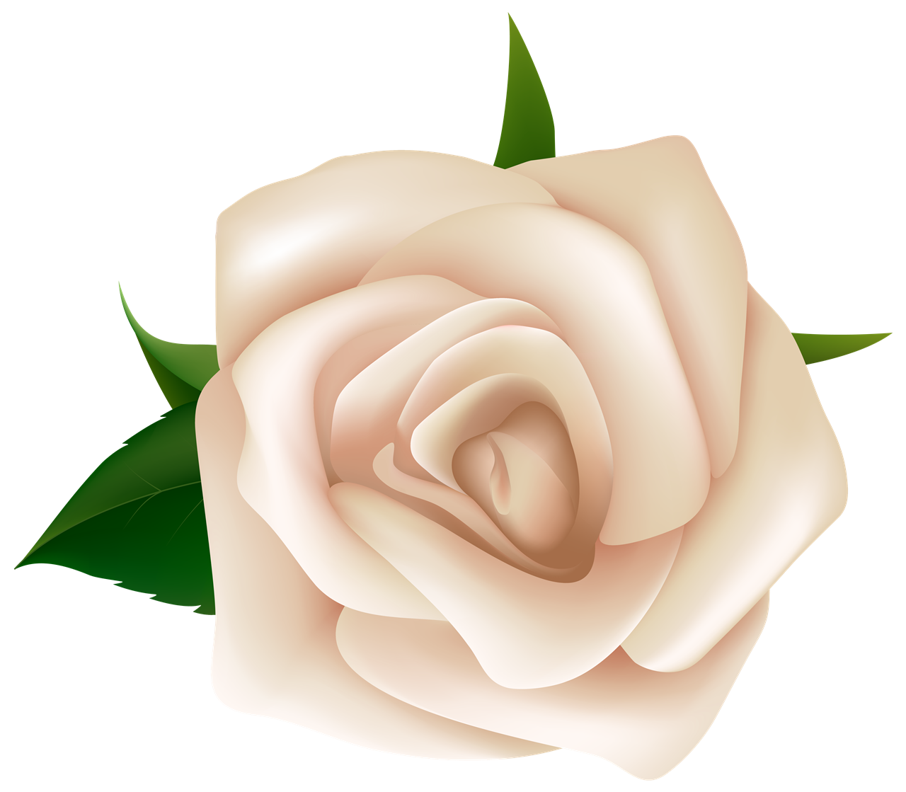 White Rose Gratis PNG-Afbeelding