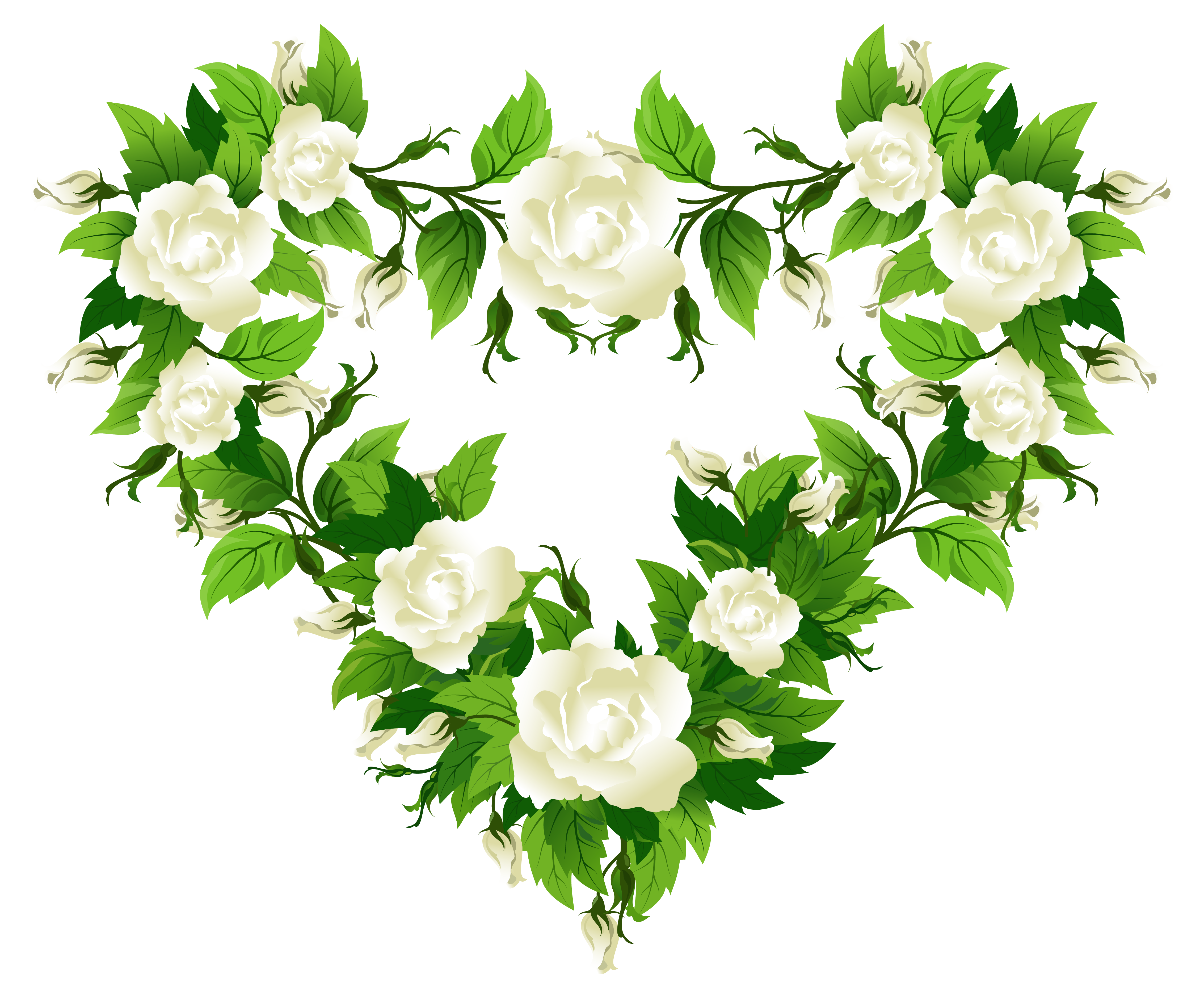 White Rose PNG Photo