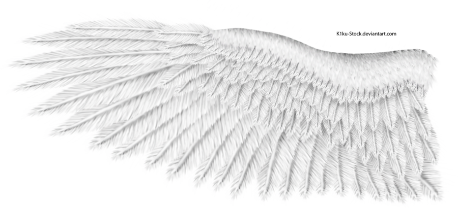흰색 날개 PNG 다운로드 이미지