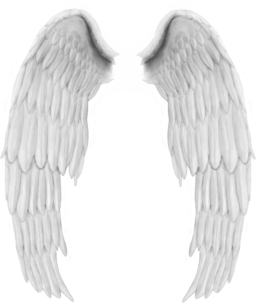 흰색 날개 PNG 고품질 이미지