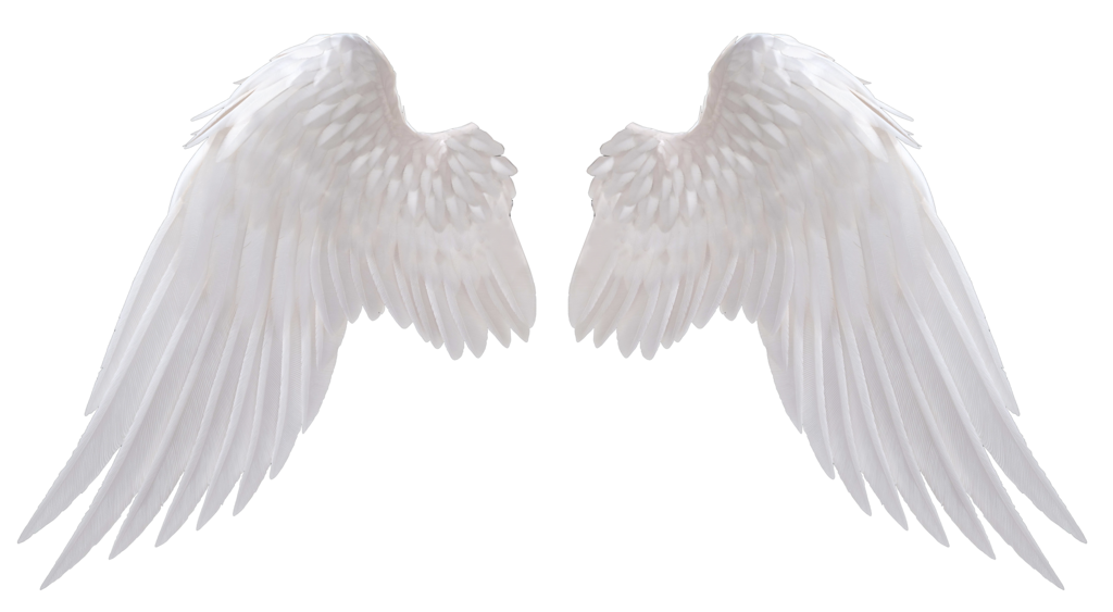흰색 날개 PNG 이미지