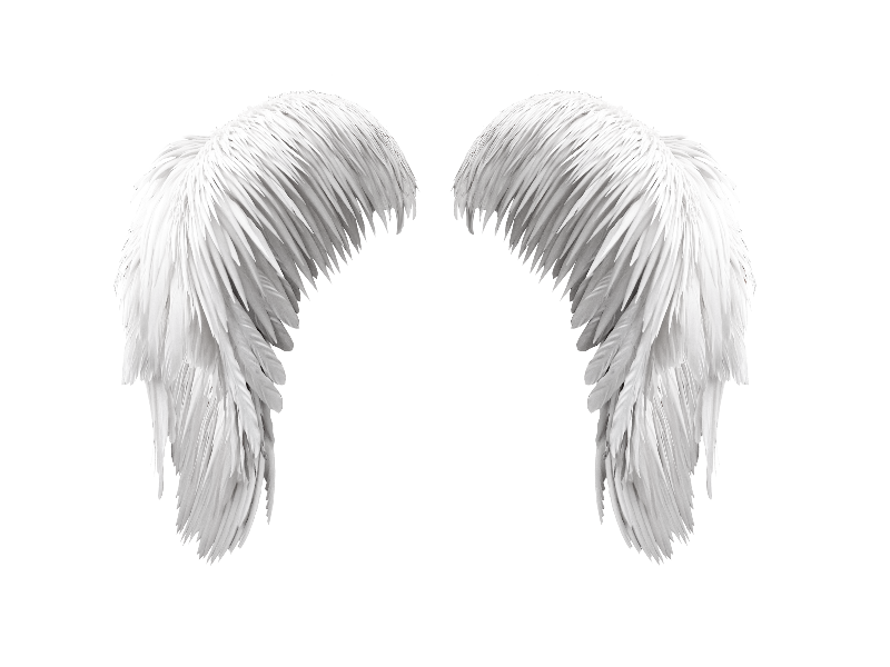 Weißes Wings PNG-Foto