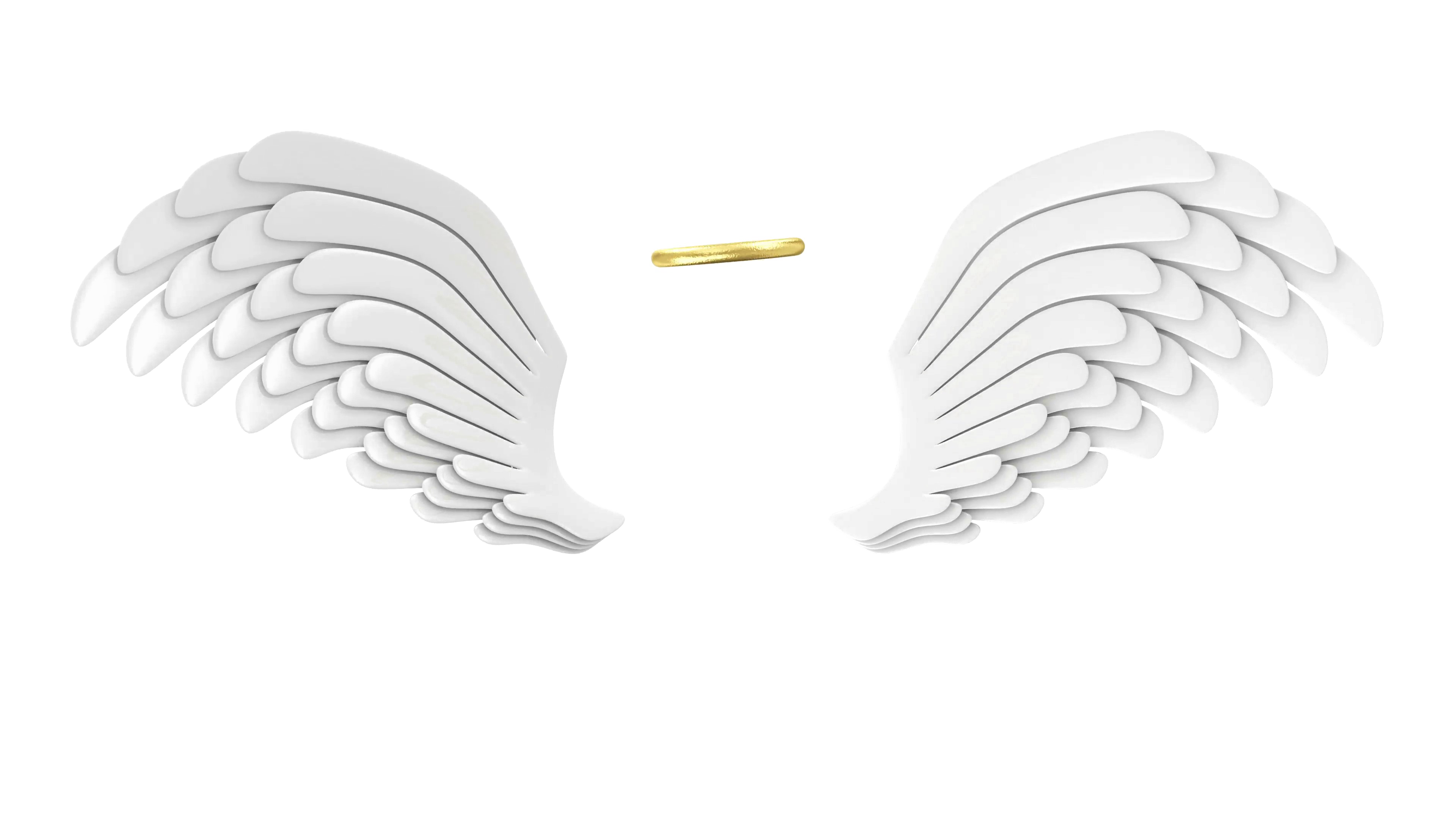 Weißes Wings PNG-transparentes Bild