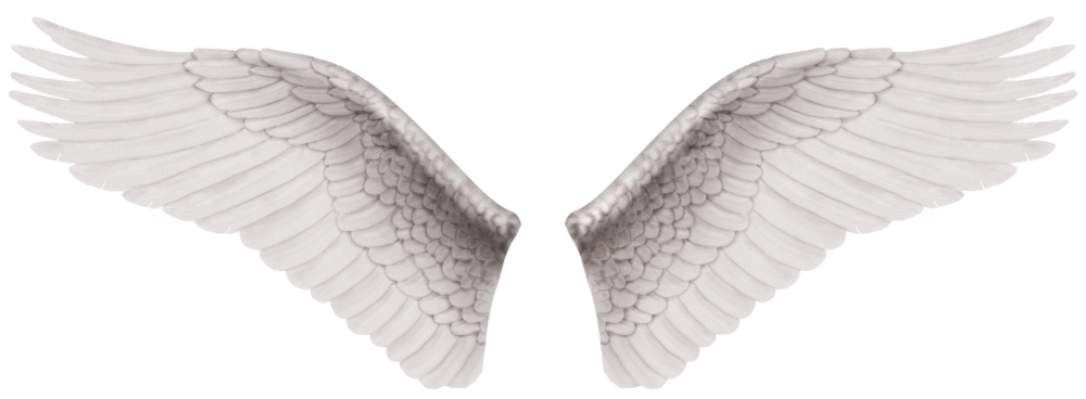 Weißes Wings Transparentes Bild