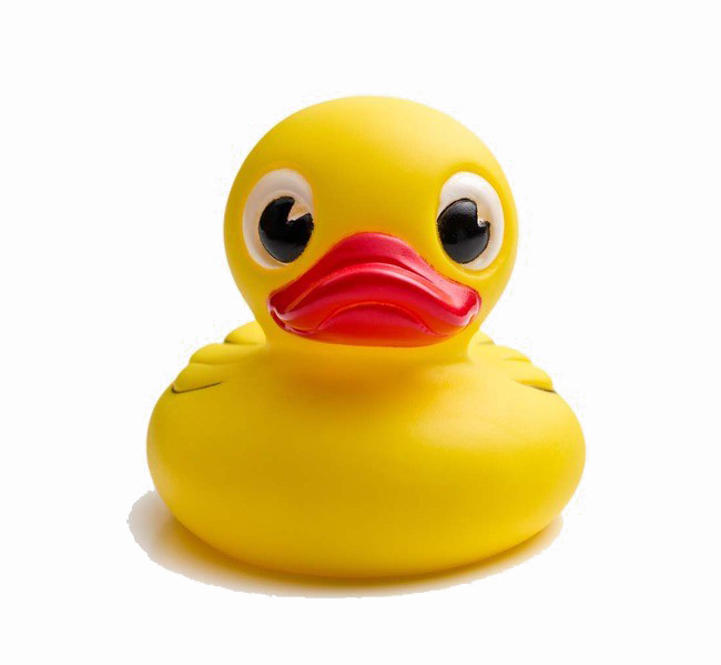 Yellow Duck Transparent Background PNG