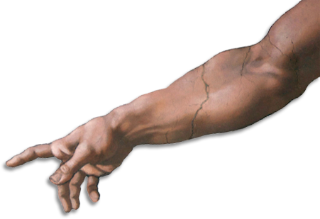 Arm PNG Image