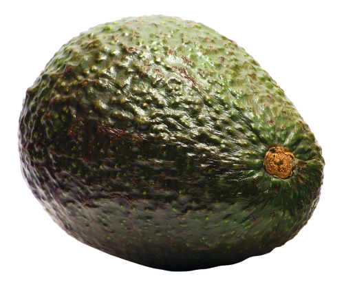 Avocado PNG скачать бесплатно