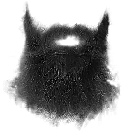 Beard PNG image de fond