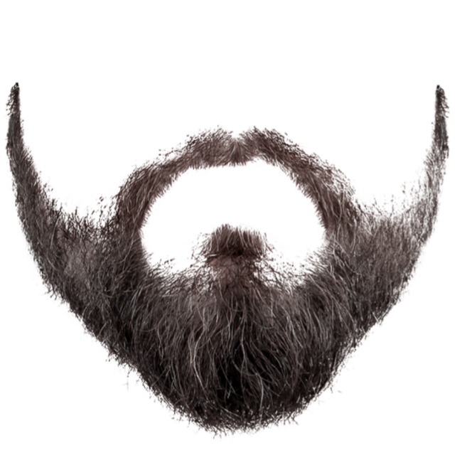 Beard PNG Image Transparent Background