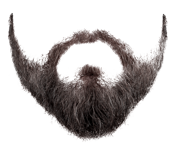 Beard PNG image Transparente