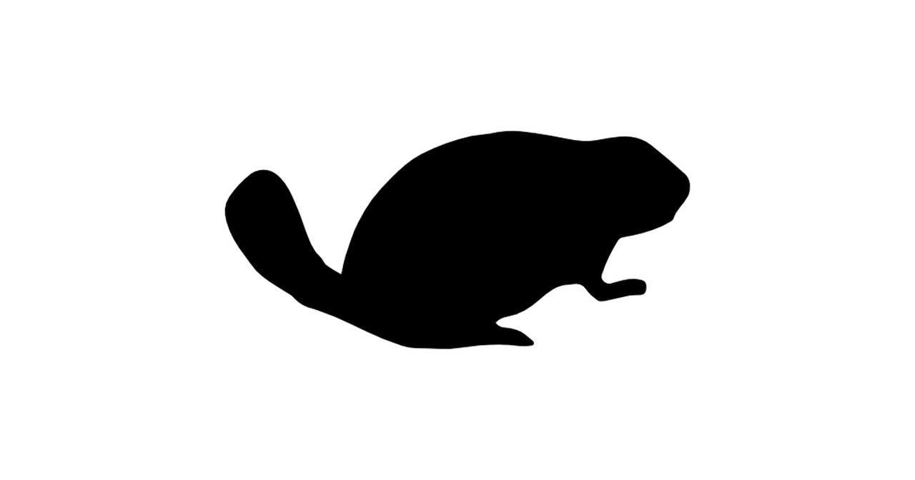 Beaver PNG изображение фон