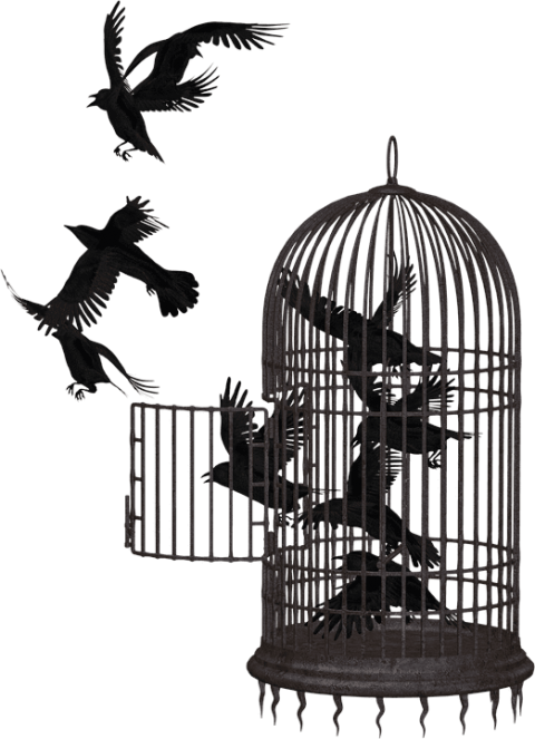 Birdcage PNG High-Quality Image