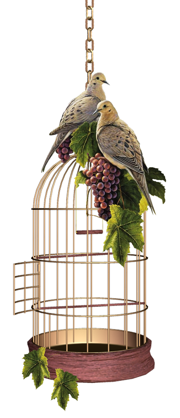 Birdcage PNG Picture