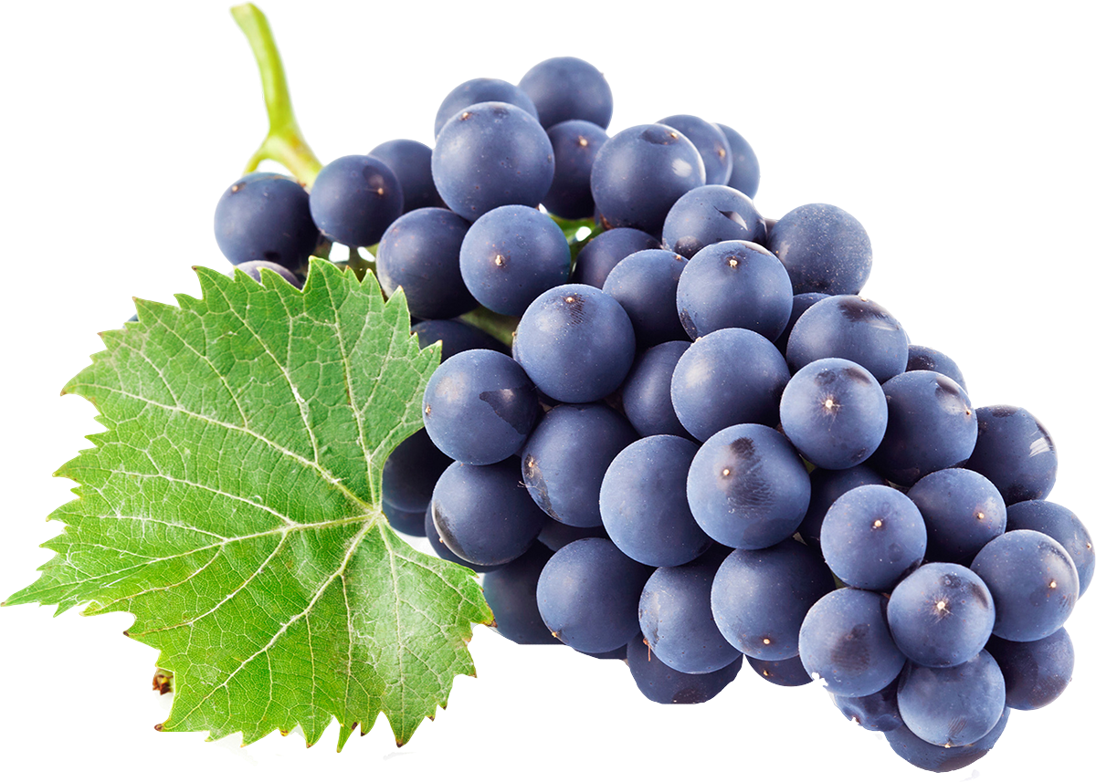 Черный виноград PNG Скачать изображение