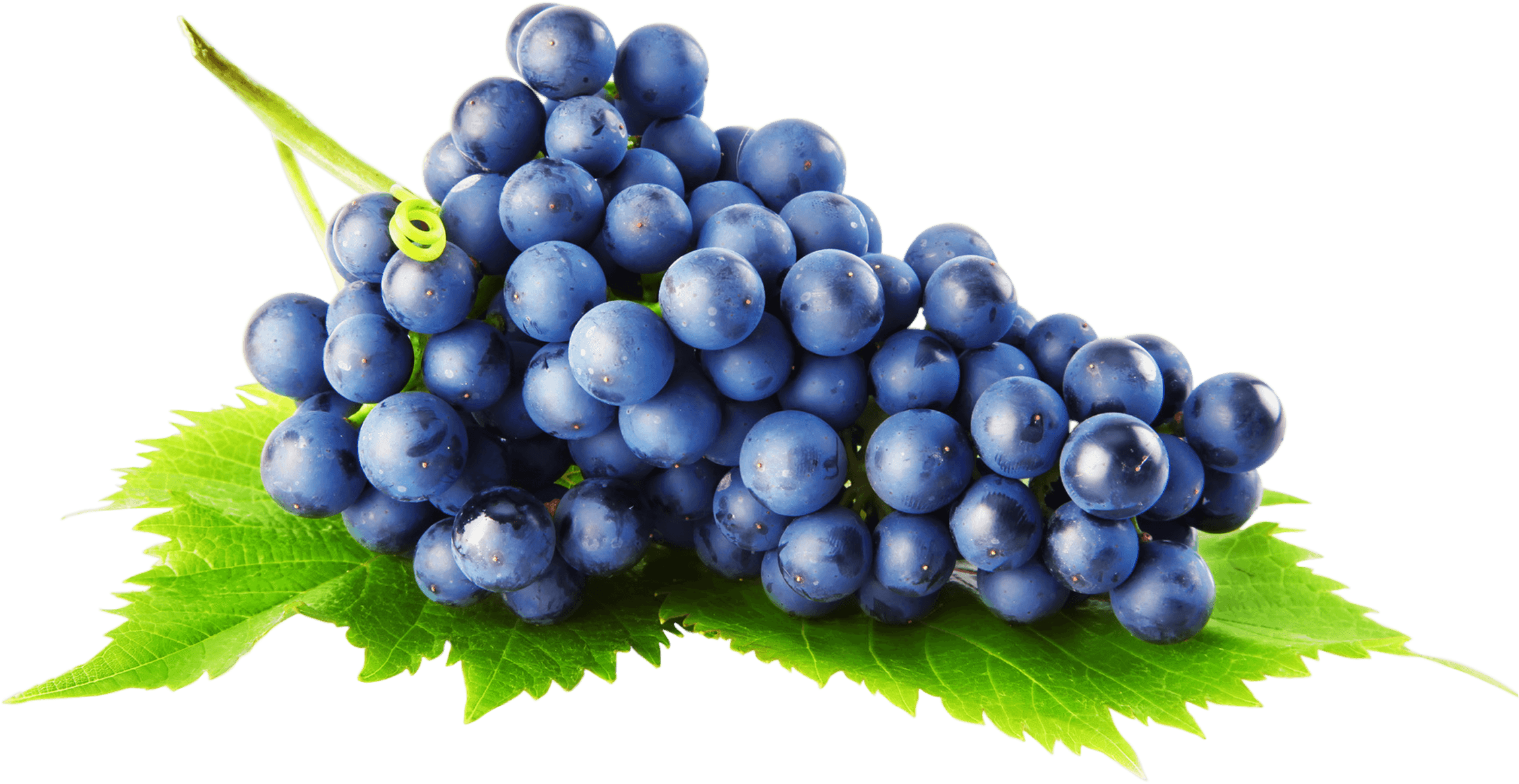 Black Grapes PNG Image Background