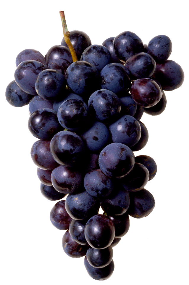Черный виноград PNG Image