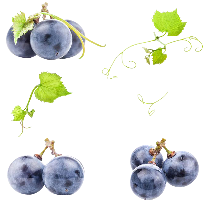 Grapes negros PNG photo