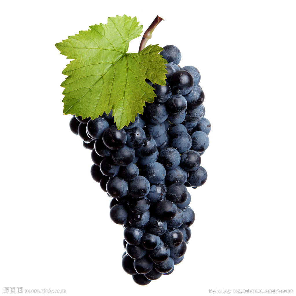 Черный виноград прозрачный образ