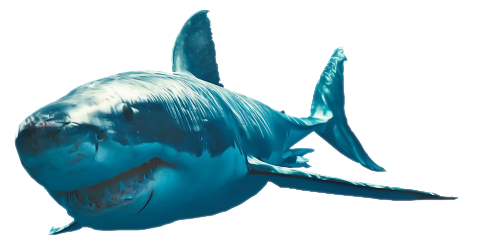 Blue Shark PNG Image