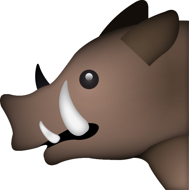 Boar PNG High-Quality Image