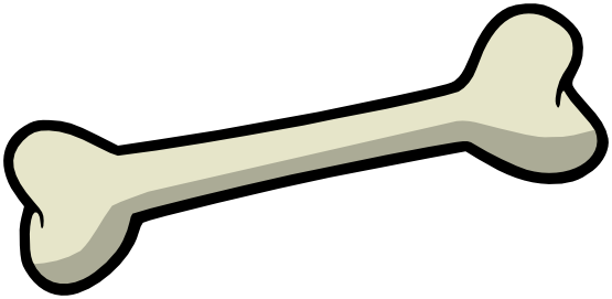 Bone PNG Transparent Image
