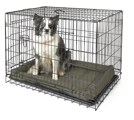 Cage PNG Free Download
