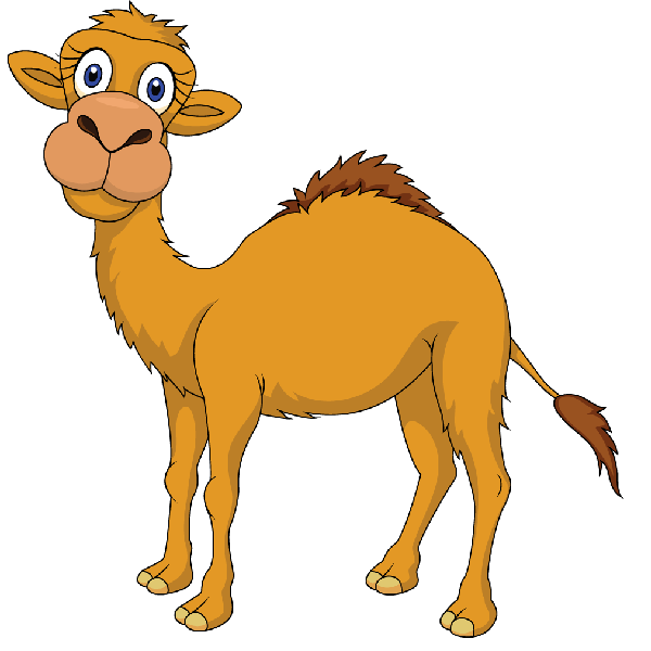 Camel PNG Free Download