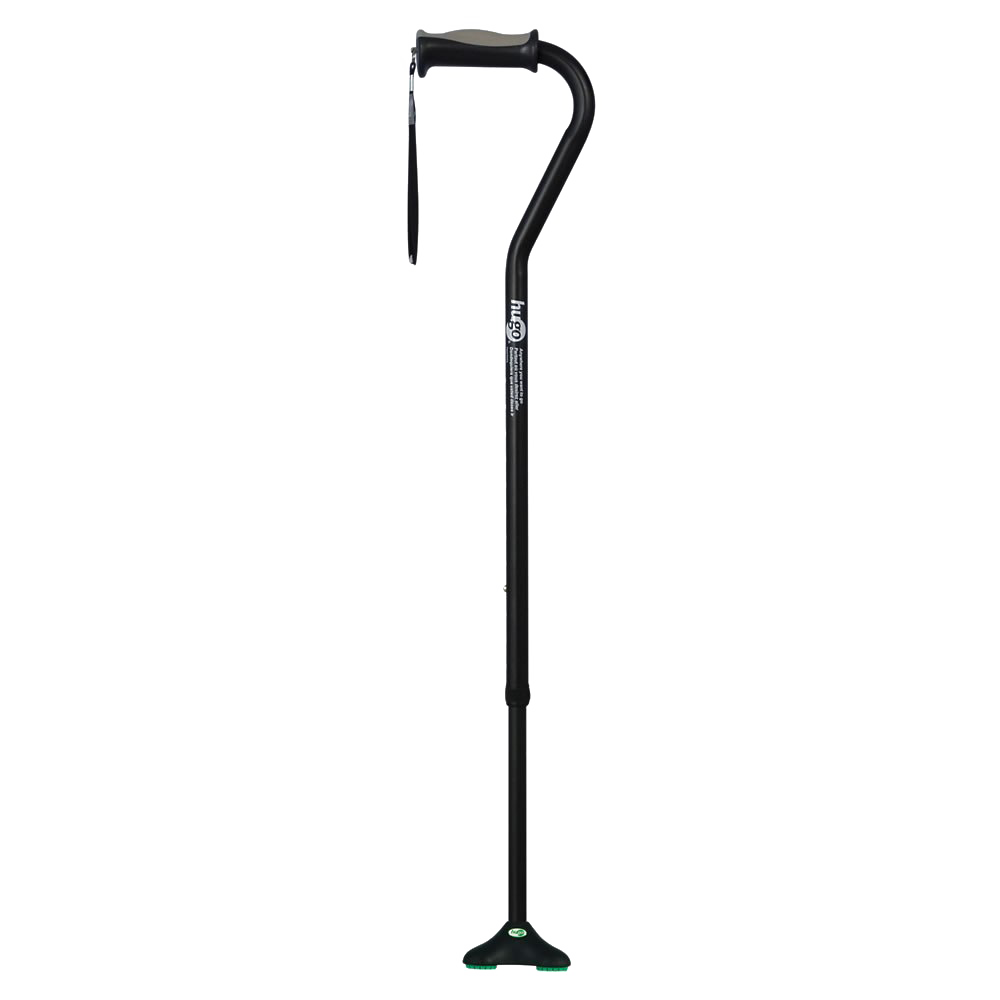 Cane Walking Stick PNG High-Quality Image