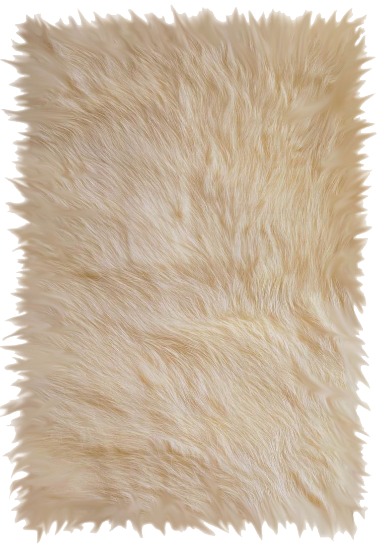 Carpet PNG Download Image