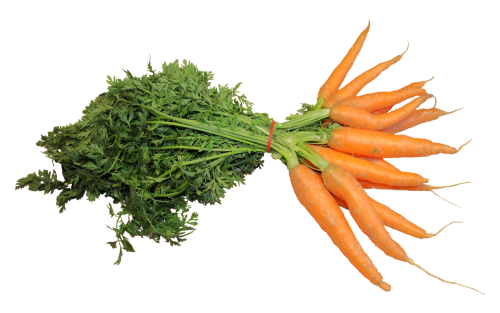 Carrot PNG Background Image