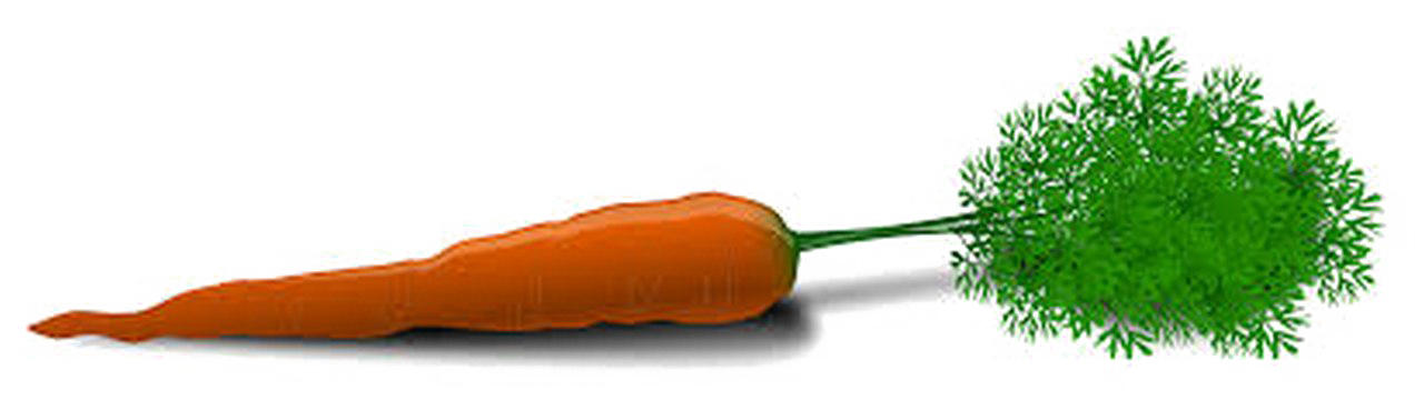 Морковь PNG Image Прозрачный фон