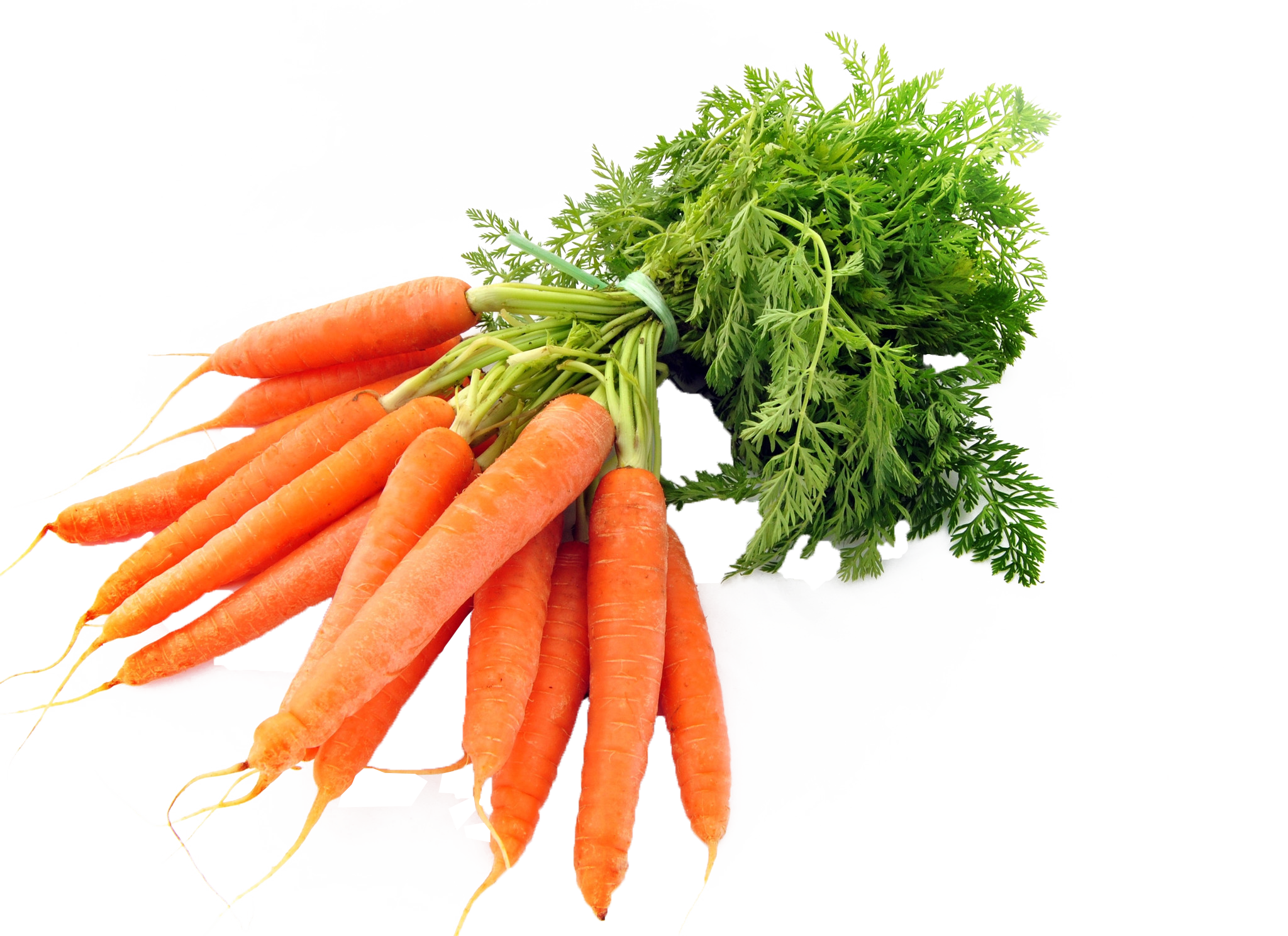 Морковь PNG изображение прозрачный