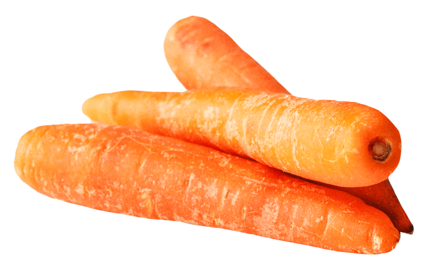 Image PNG de carotte