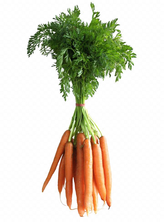 Carrot PNG Pic