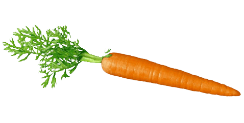 Морковь прозрачные изображения