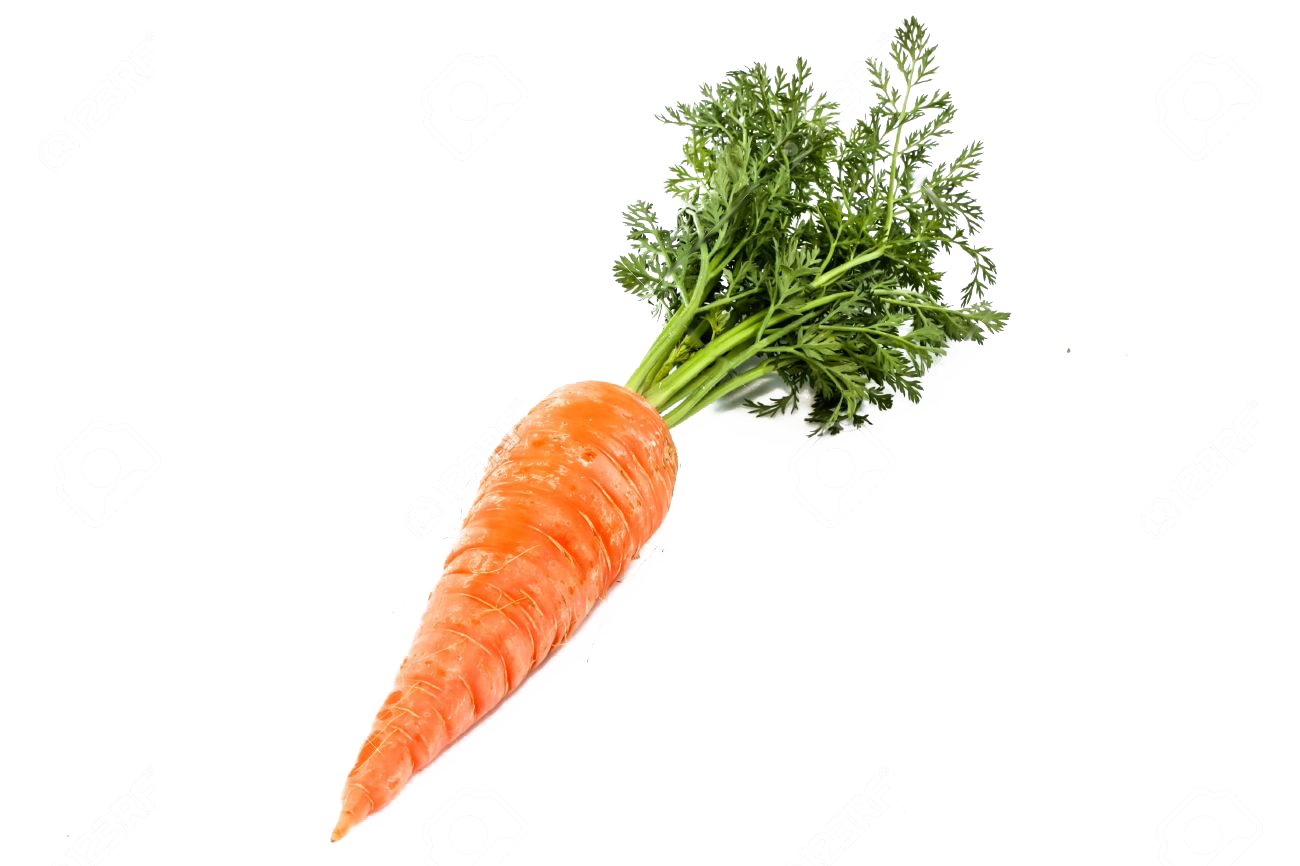 Морковь прозрачный