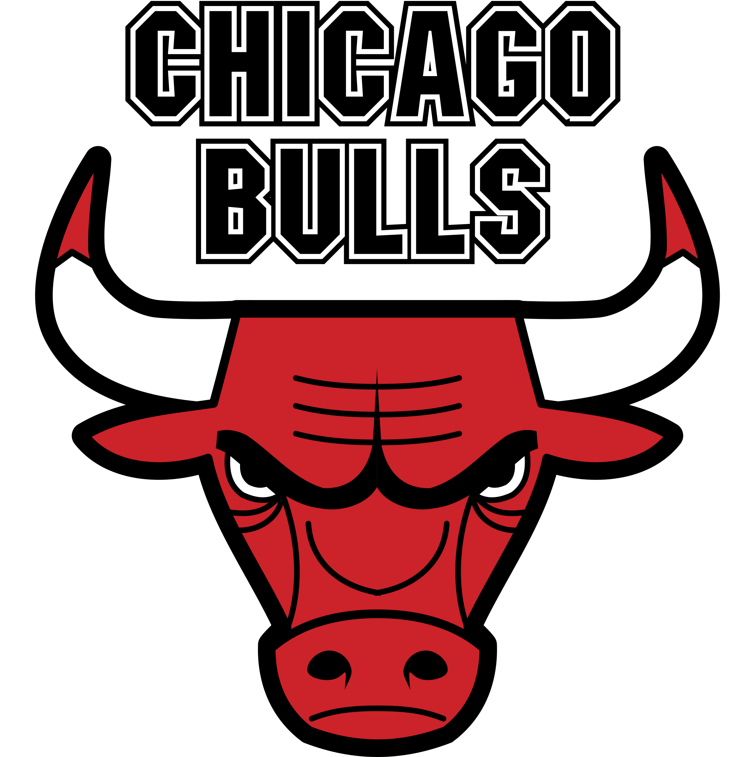 Chicago Bulls PNG Foto